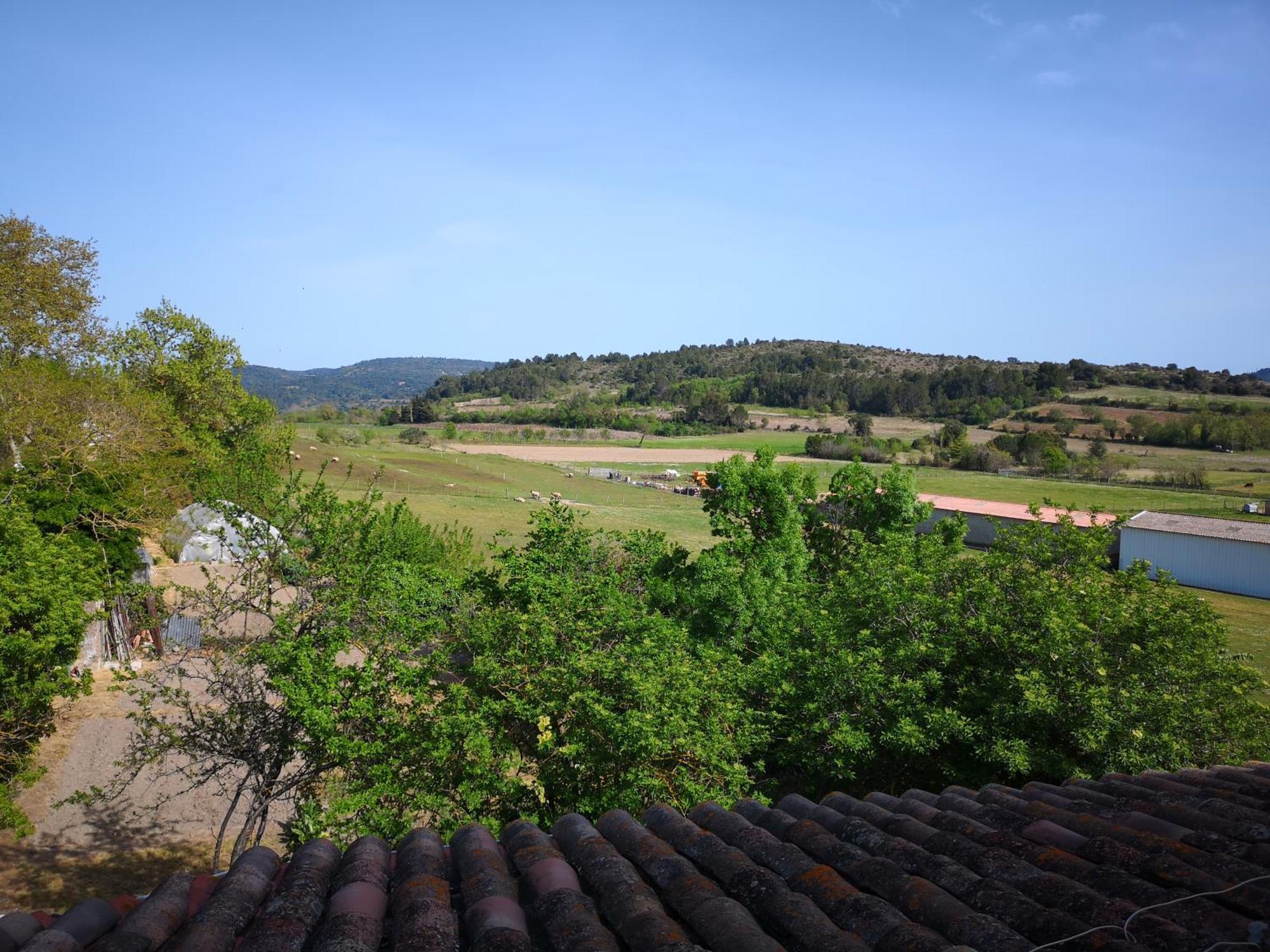 L'Ours Des Corbieres - Chambres D'Hotes Servies-en-Val Zimmer foto